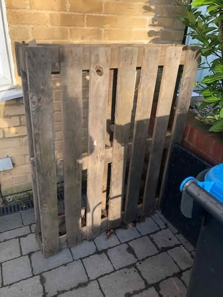Photo of free Single Wooden pallet (HP3) #1