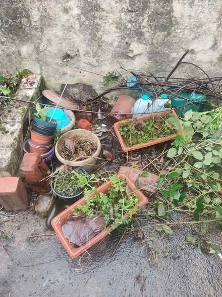 Photo of free Last few plant pots (Freehold, LA1) #1