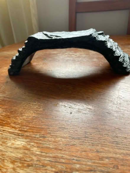Photo of free Reptile basking rock (Odenton Kings Heights) #2