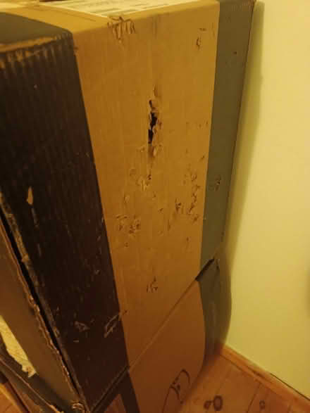 Photo of free 3 large storage boxes (Saltaire BD18) #2