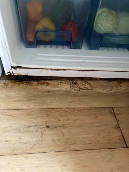 Photo of free LEC Fridge (Nether Edge S7) #2