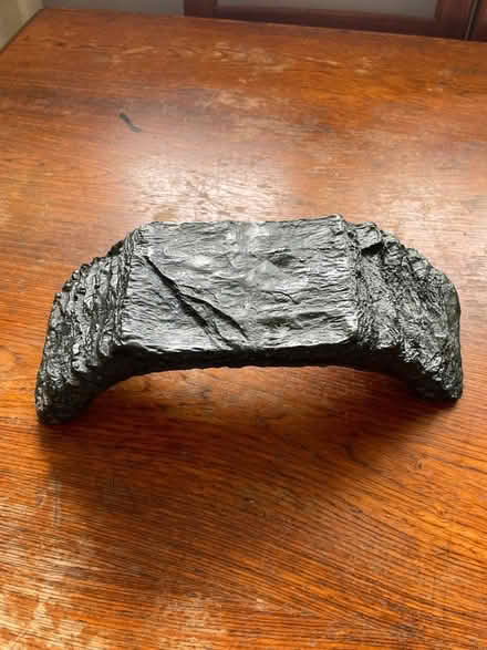Photo of free Reptile basking rock (Odenton Kings Heights) #1