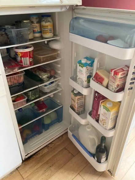 Photo of free LEC Fridge (Nether Edge S7) #3