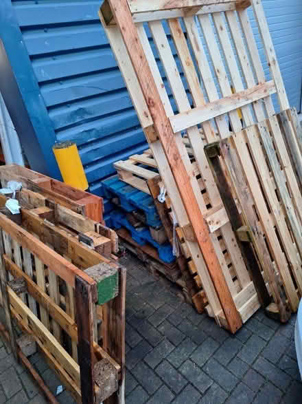 Photo of free Pallets (GL51) #1