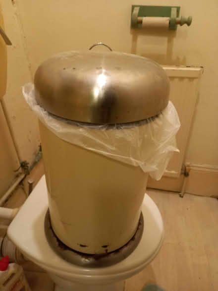 Photo of free Smaller pedal bin (SE19) #1