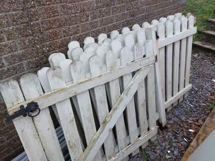 Photo of free Picket / garden fence as seen (West Malling) #3