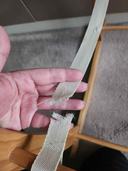Photo of free Moses basket (CV34 warwick) #3