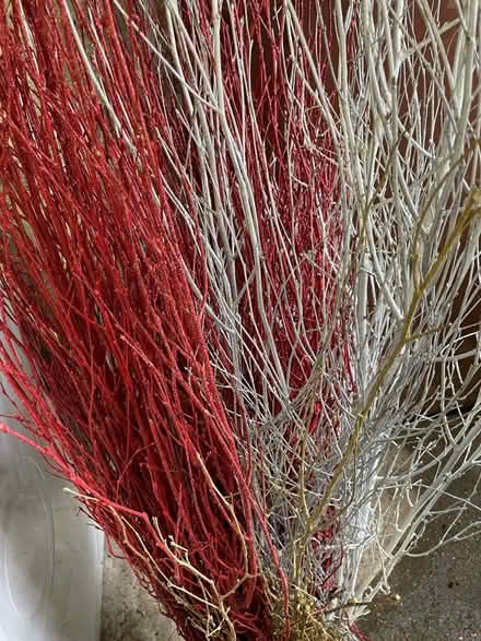 Photo of free Decorative branches (Bounds Green) #2
