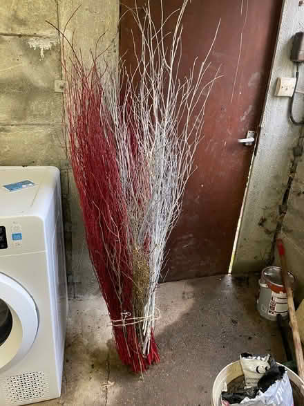 Photo of free Decorative branches (Bounds Green) #1