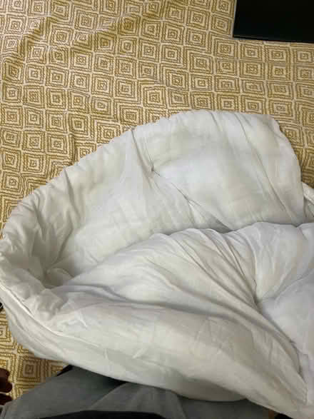 Photo of free 13.5 tug duvet (Bretton PE3) #2