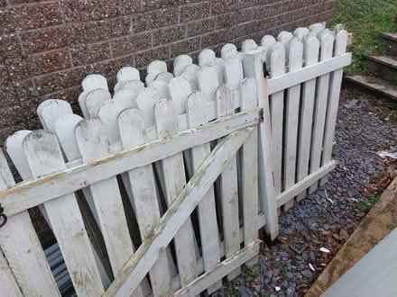 Photo of free Picket / garden fence as seen (West Malling) #1