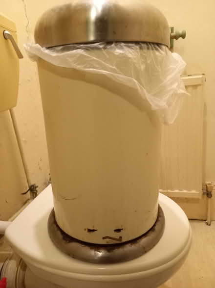 Photo of free Smaller pedal bin (SE19) #2