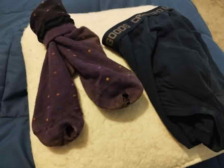 Photo of free Socks and boxer shorts (Linslade) #1