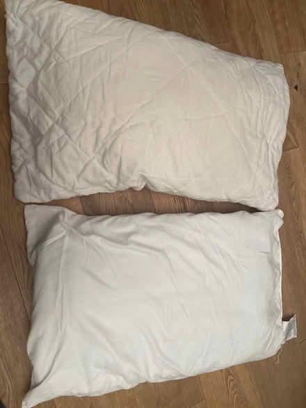 Photo of free Pillows (E3) #2