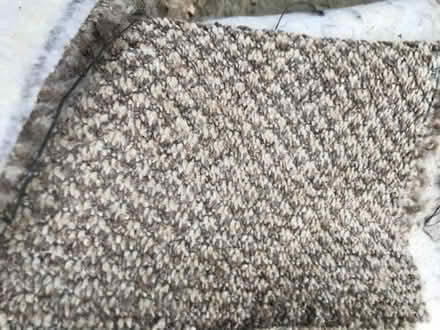 Photo of free Aged carpet (Brooke NR15) #1