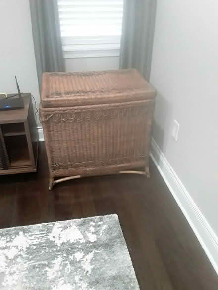 Photo of free Wicker storage bin (Waverly) #1