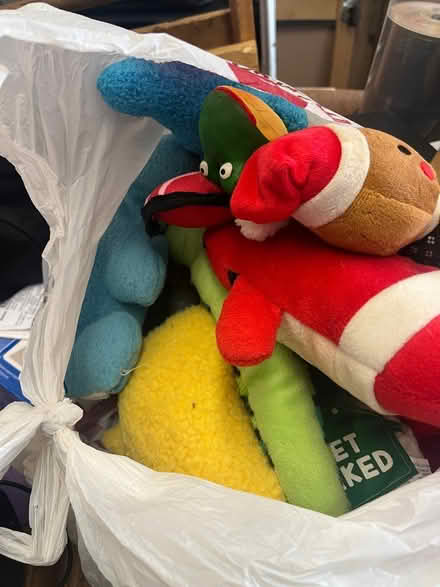 Photo of free Plush dog toys (Hicksville) #1