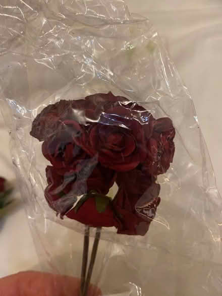 Photo of free Artificial flowers (Peterculter AB14) #1