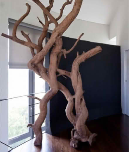 Photo of Felled Tree/branches (Linkhill TN18) #1