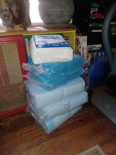 Photo of free Chucks and pull ups (South ozone pk, queens) #1