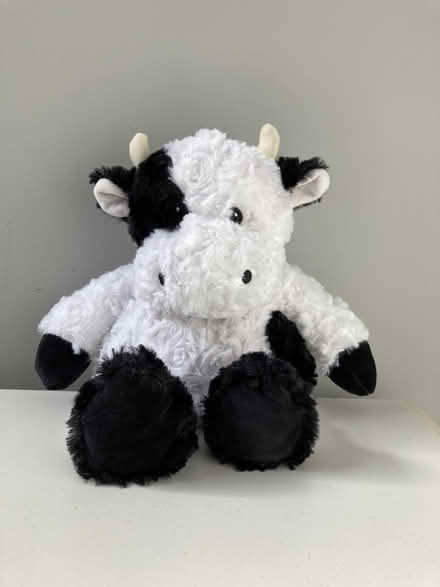 Photo of free Weighted Cow Stuffed Animal (South/North Attleboro line) #1
