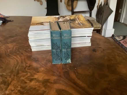 Photo of free Antique Wild Flower Books (Waltham Abbey EN9) #1