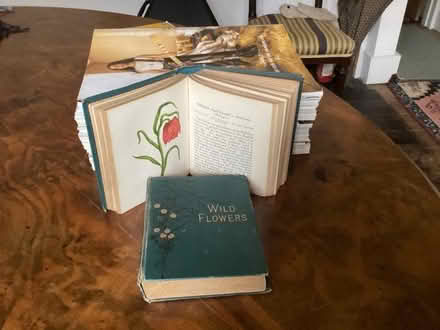 Photo of free Antique Wild Flower Books (Waltham Abbey EN9) #3