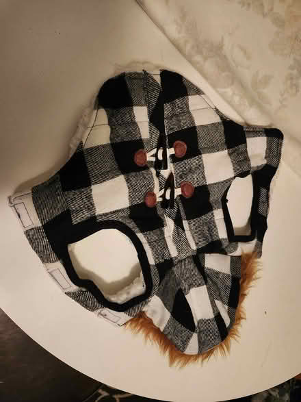 Photo of free Extra small pet jacket (Kanata (Katimavik)) #1