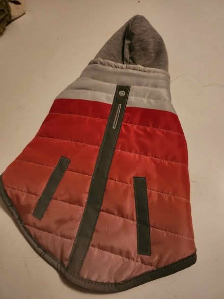 Photo of free Small pet jacket (Kanata (Katimavik)) #2