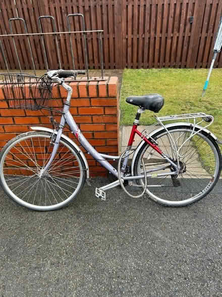 Photo of free Raleigh bike (Tong BD4) #1