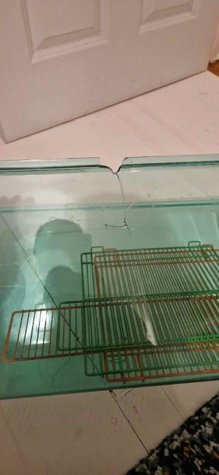 Photo of free Gerbil cage (Northfields) #1