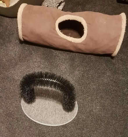 Photo of free wire brush loop for cat. (Euxton PR7) #1
