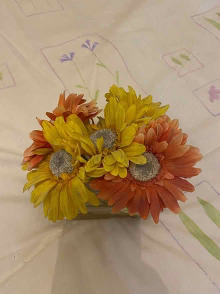 Photo of free Ornamental flower (Peterculter AB14) #2