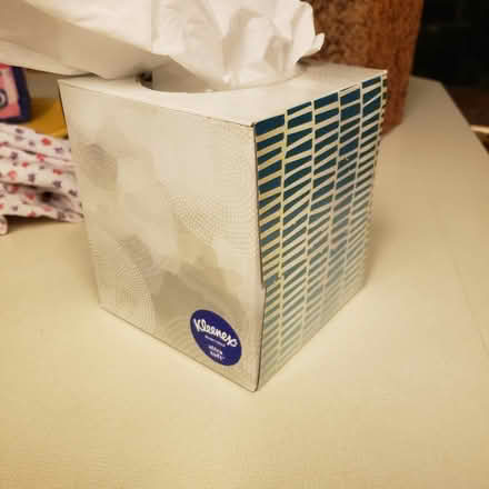 Photo of free Kleenex in blah beige boxes (Phinney Ridge) #1