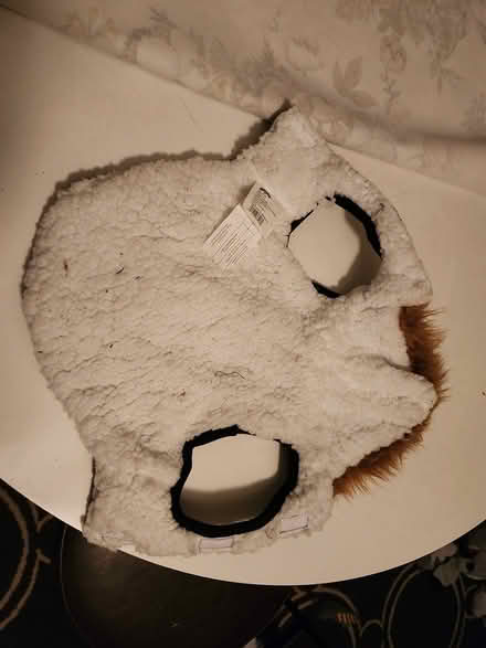Photo of free Extra small pet jacket (Kanata (Katimavik)) #3