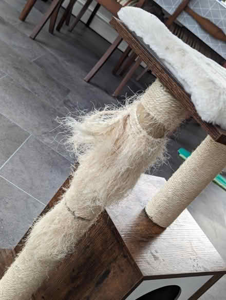 Photo of free Cat tower and scratching post (Odd Down) #3