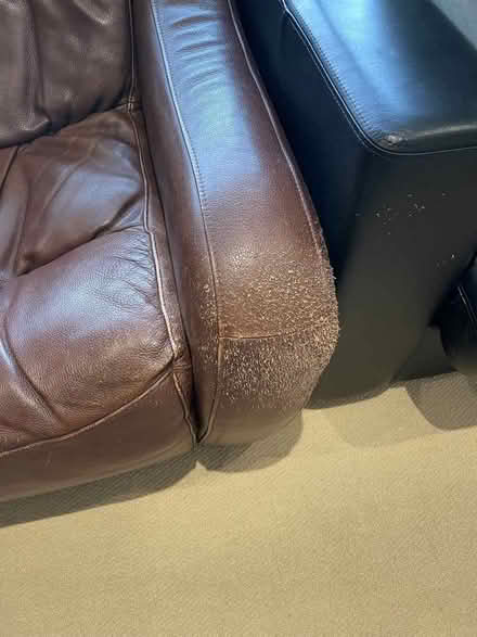 Photo of free Brown leather sectional corner sofa (Lyme Regis DT7) #1