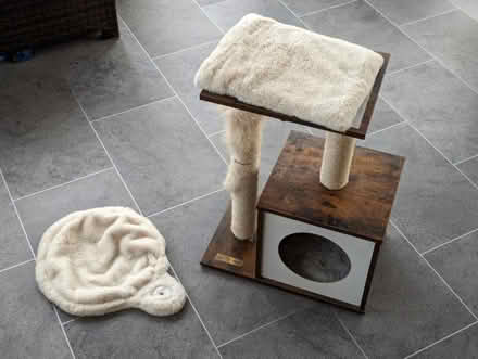 Photo of free Cat tower and scratching post (Odd Down) #1