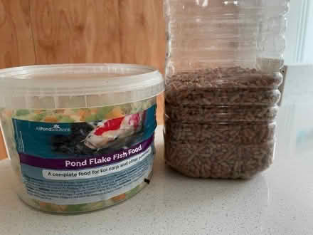 Photo of free Fish food (Loughton MK5) #2