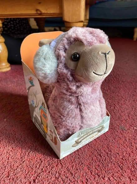 Photo of free Cuddly Toy, with heatable insert (Battledown GL52) #1