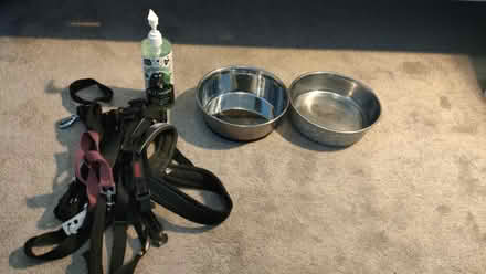 Photo of free Dog accessories (Briarhill) #1