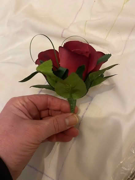 Photo of free Artificial flowers (Peterculter AB14) #3