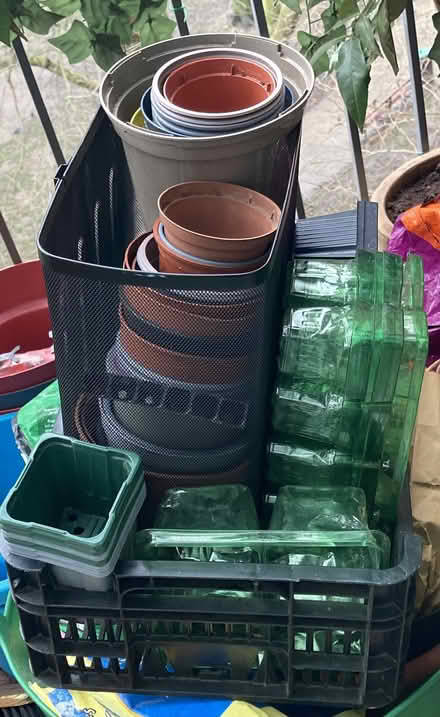 Photo of free selection plastic plant pots (WC2H) #1