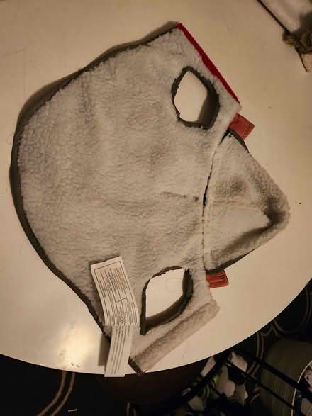 Photo of free Small pet jacket (Kanata (Katimavik)) #3