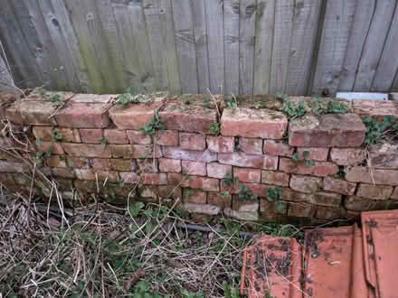Photo of free 120 + reclaimed bricks (BR6, Green Street Green) #1
