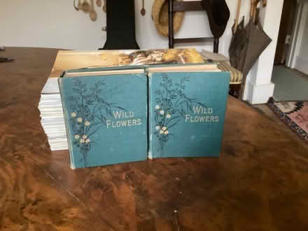 Photo of free Antique Wild Flower Books (Waltham Abbey EN9) #2