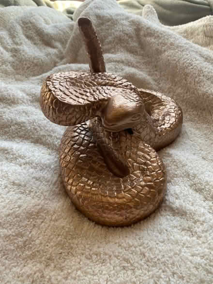 Photo of free Snake home decor (Hayward) #1