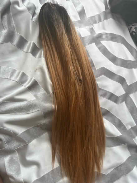 Photo of free Synthetic ponytail (SW2) #1