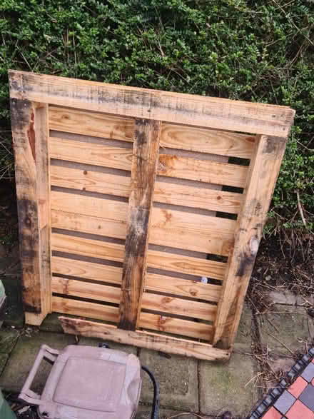 Photo of free Wooden pallet and ply wood (Kentish Town NW5) #2