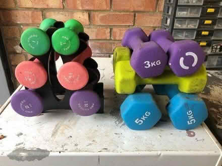 Photo of free Outdoor dumbells (Goldsworth Park) #1